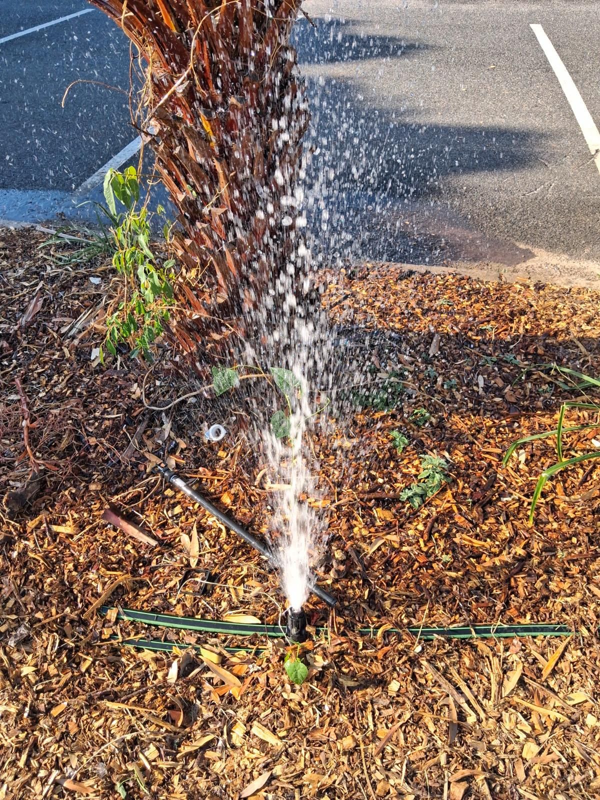 Before photo • Irrigation • ISCAPE-JOB-000656 • Palmerston City,